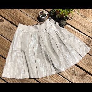 Shimmery Pleated BR Skirt